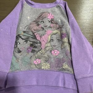 Disney Princess sweater